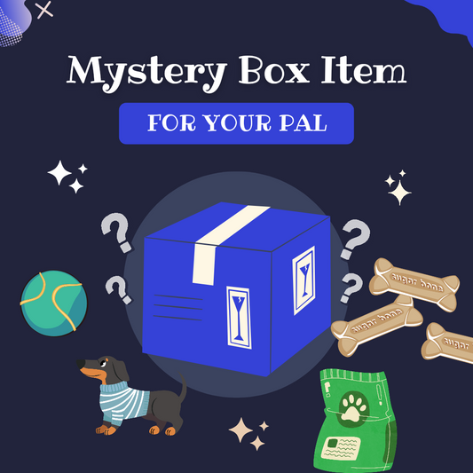 Mix Mystery Box For Your Canine & Yourself. 😍