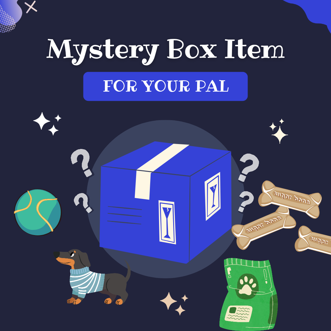 Mix Mystery Box For Your Canine & Yourself. 😍