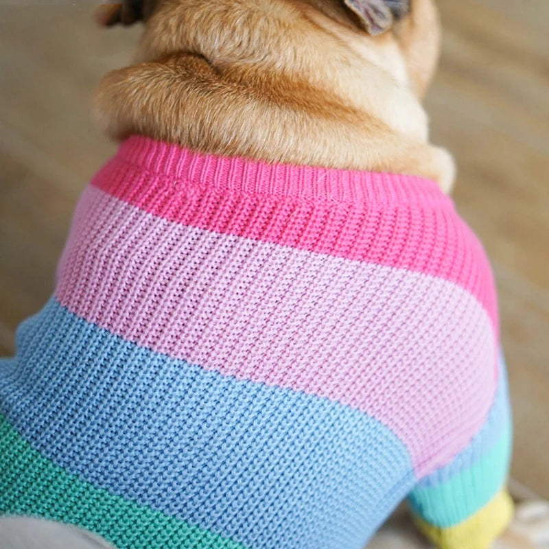 Rainbow Knit Sweaters for Cozy and Cute Small Dogs