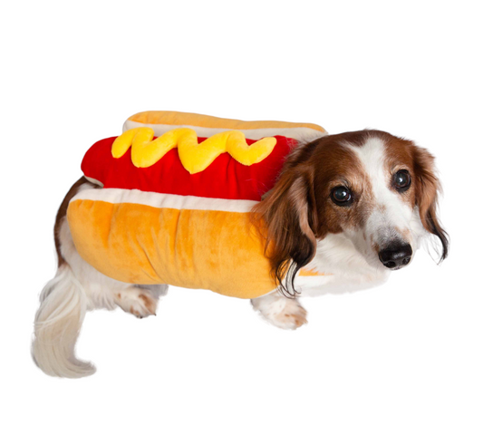 Hot Dog Pet Costum