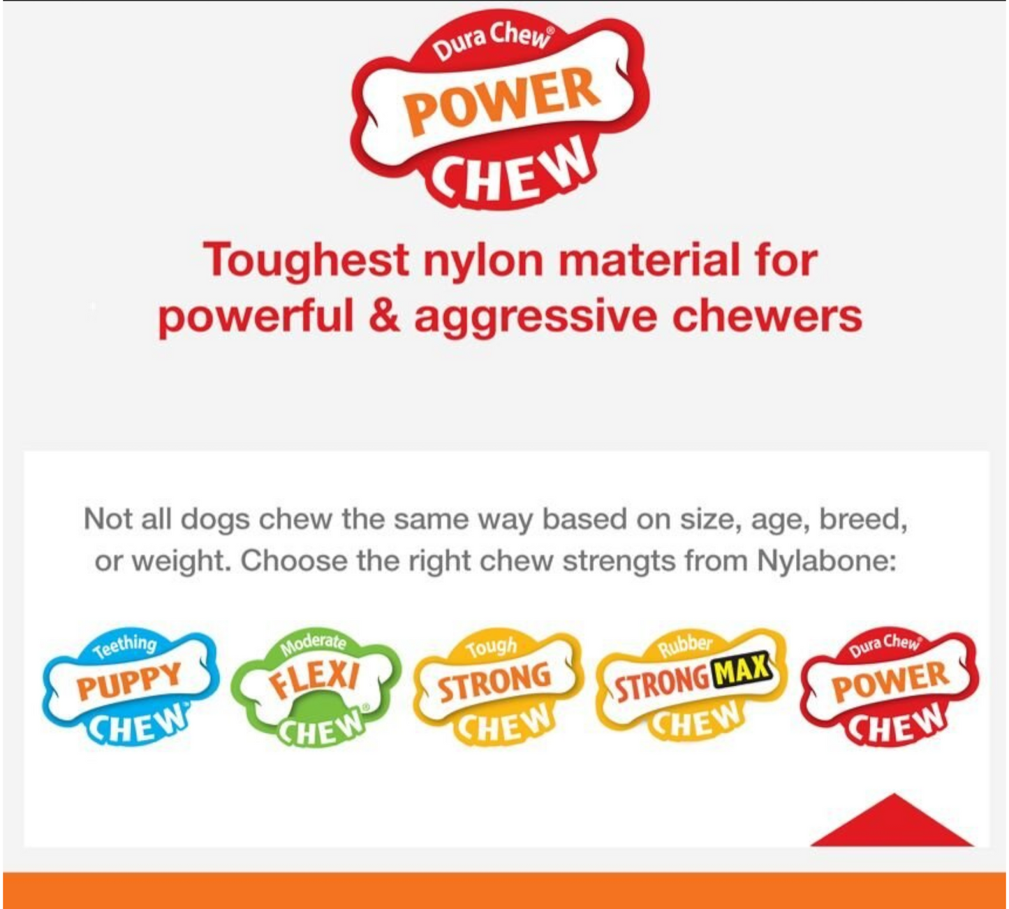 Nylabone Power Chew Wishbone Dog Chew Toy Bison Flavor