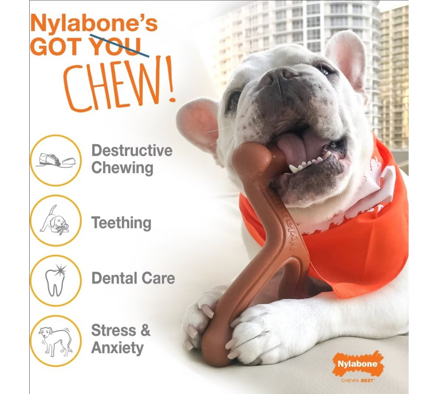 Nylabone Power Chew Bison Bone Alternative Dog Chew Toy Beef Flavor