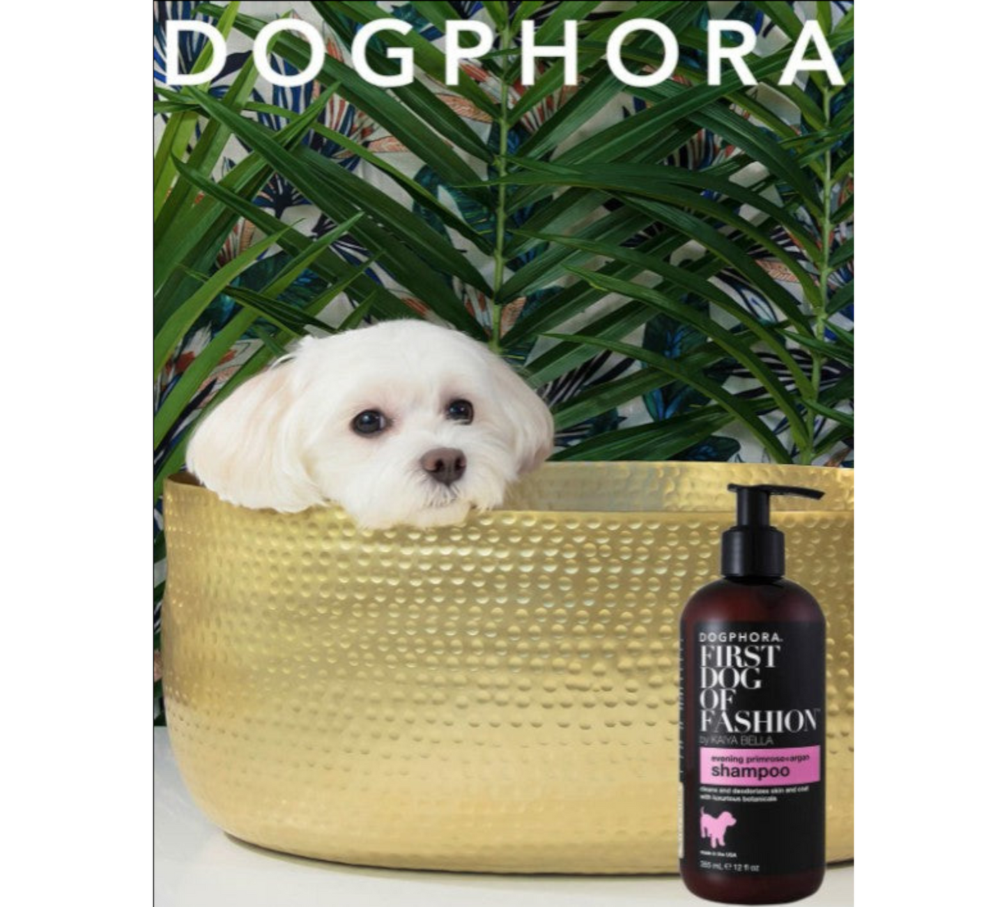 Dogphora First Dog of Fashion Shampoo,