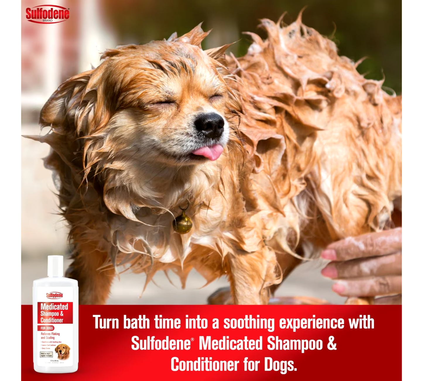 Sulfodene Medicated Dog Shampoo,