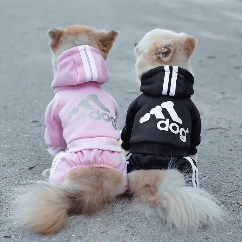 Chic Winter Apparel for Small Dogs – French Bulldog, Chihuahua, Pug, Cat