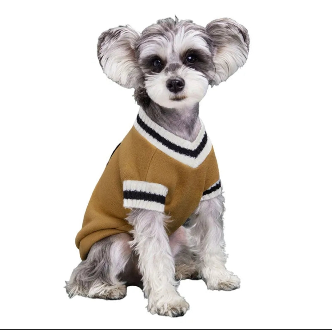 Cozy College Vibe Dog Sweater | Winter Warmth for Small-Medium Dogs