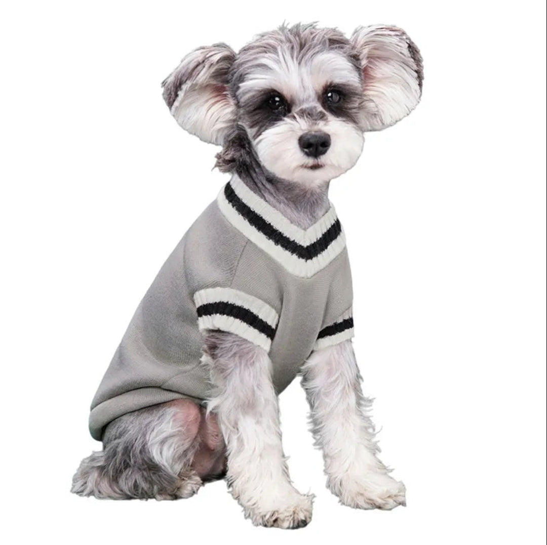Cozy College Vibe Dog Sweater | Winter Warmth for Small-Medium Dogs