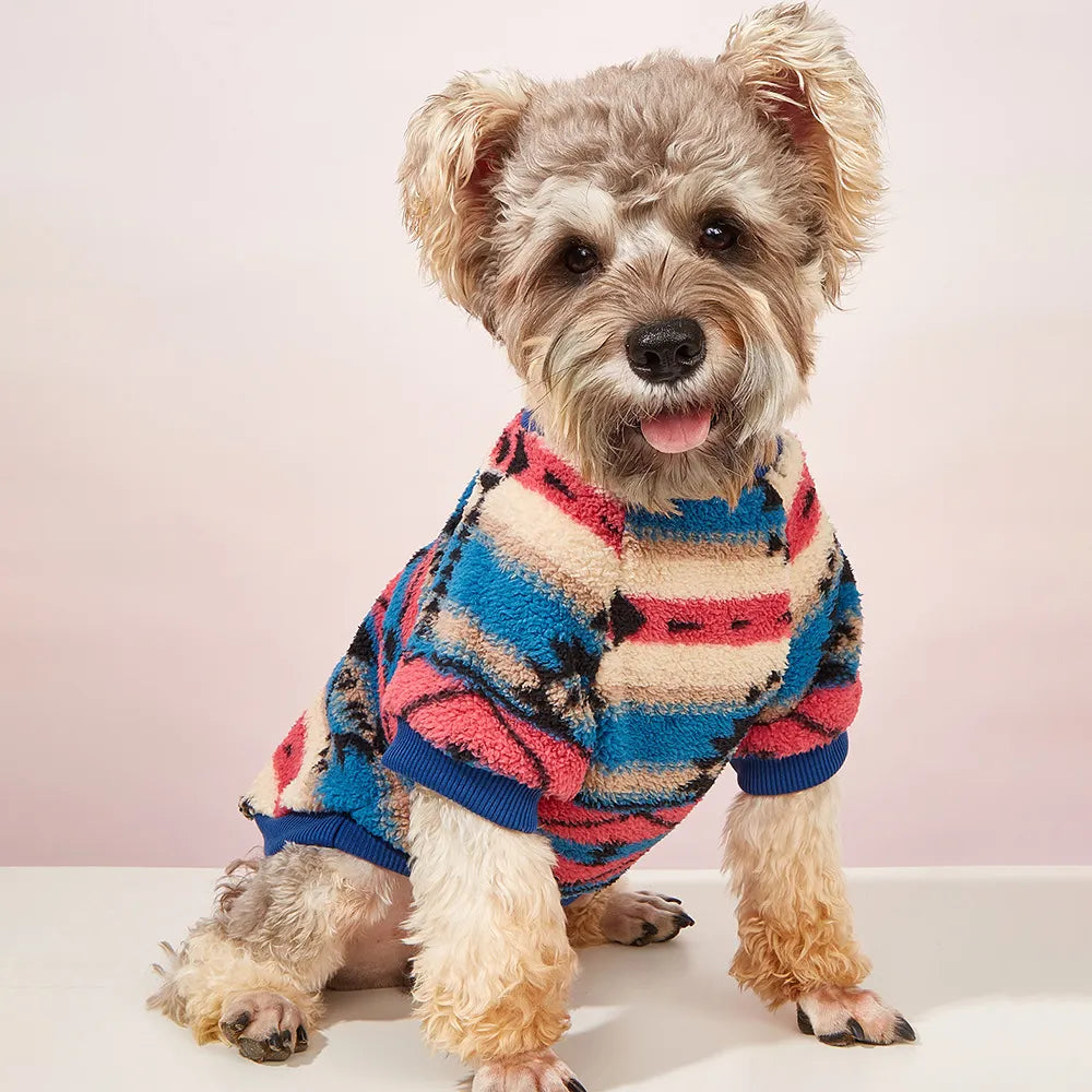 Chic Winter Wear: Cozy Clothes for Small Dogs and Cats