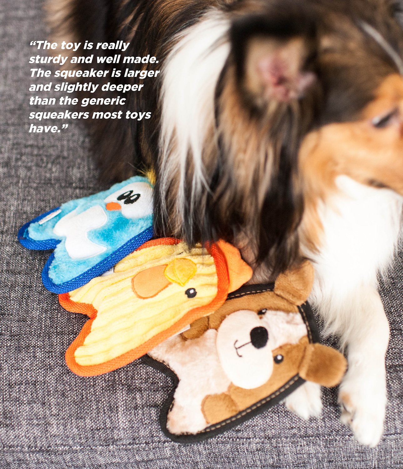 Canine's World Dog Unstuffed Toys Outward Hound Invincibles Minis Puppy Dog Toy Outward Hound