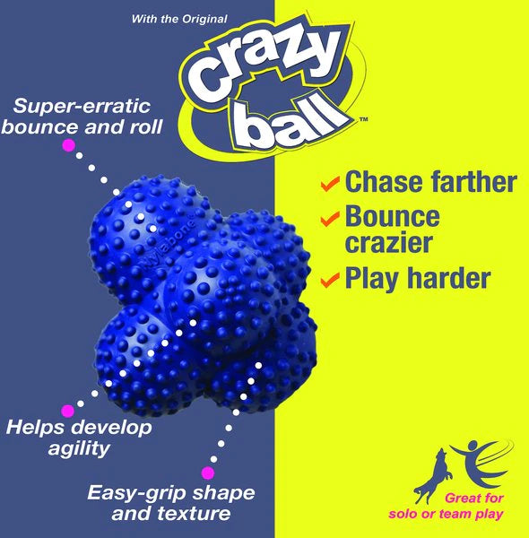 Canine's World Dog Ball Toys Nylabone Power Play Crazy Ball Dog Toy Nylabone