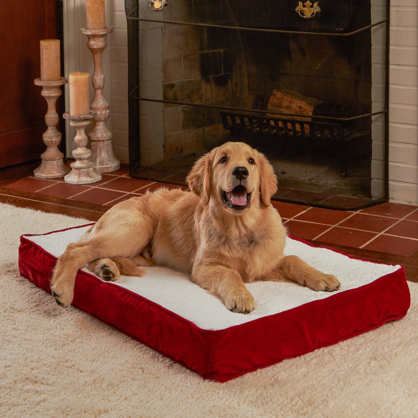 Canine's World Orthopedic Dog Beds Happy Hounds Otis Orthopedic Dog Bed,  Happy Hounds