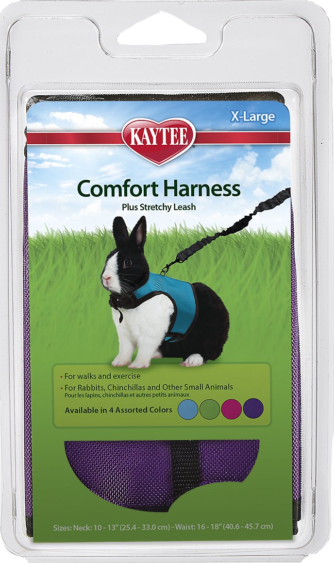 Canine's World Rabbit Harness Kaytee Comfort Harness & Stretchy Leash, X-Large, Assorted Colors Kaytee