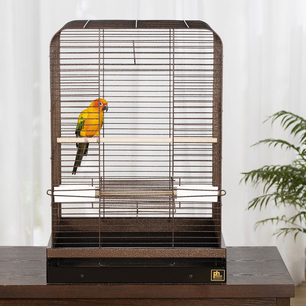 Canine's World Bird Cage Prevue Pet Products Keet / Tiel Bird Cage, Copper Prevue Pet Products