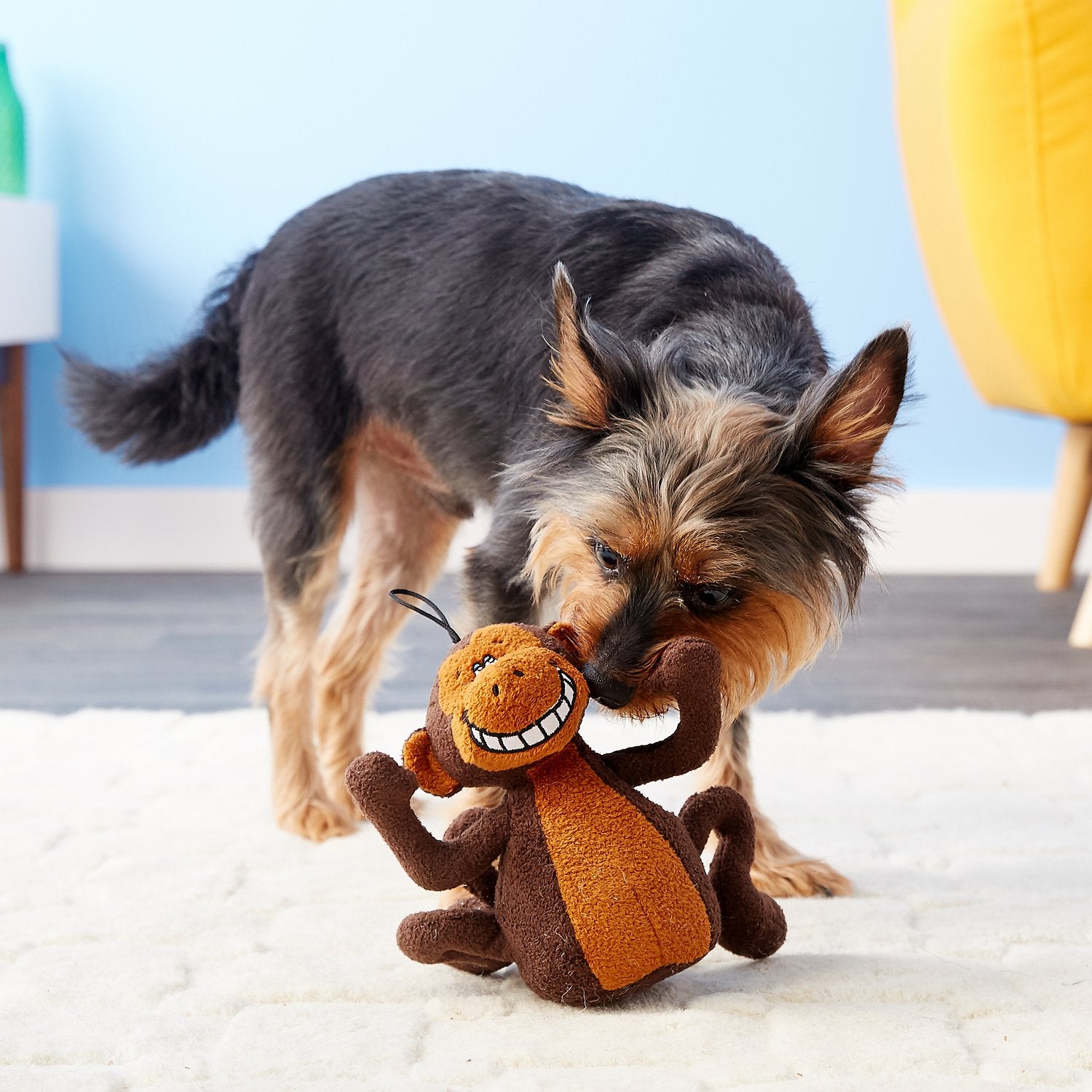 Canine's World Dog Stuffed Toys Multipet Deedle Dude Singing Plush Dog Toy, Multipet