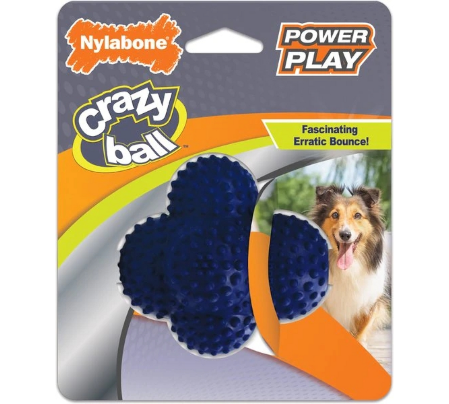 Canine's World Dog Ball Toys Nylabone Power Play Crazy Ball Dog Toy Nylabone