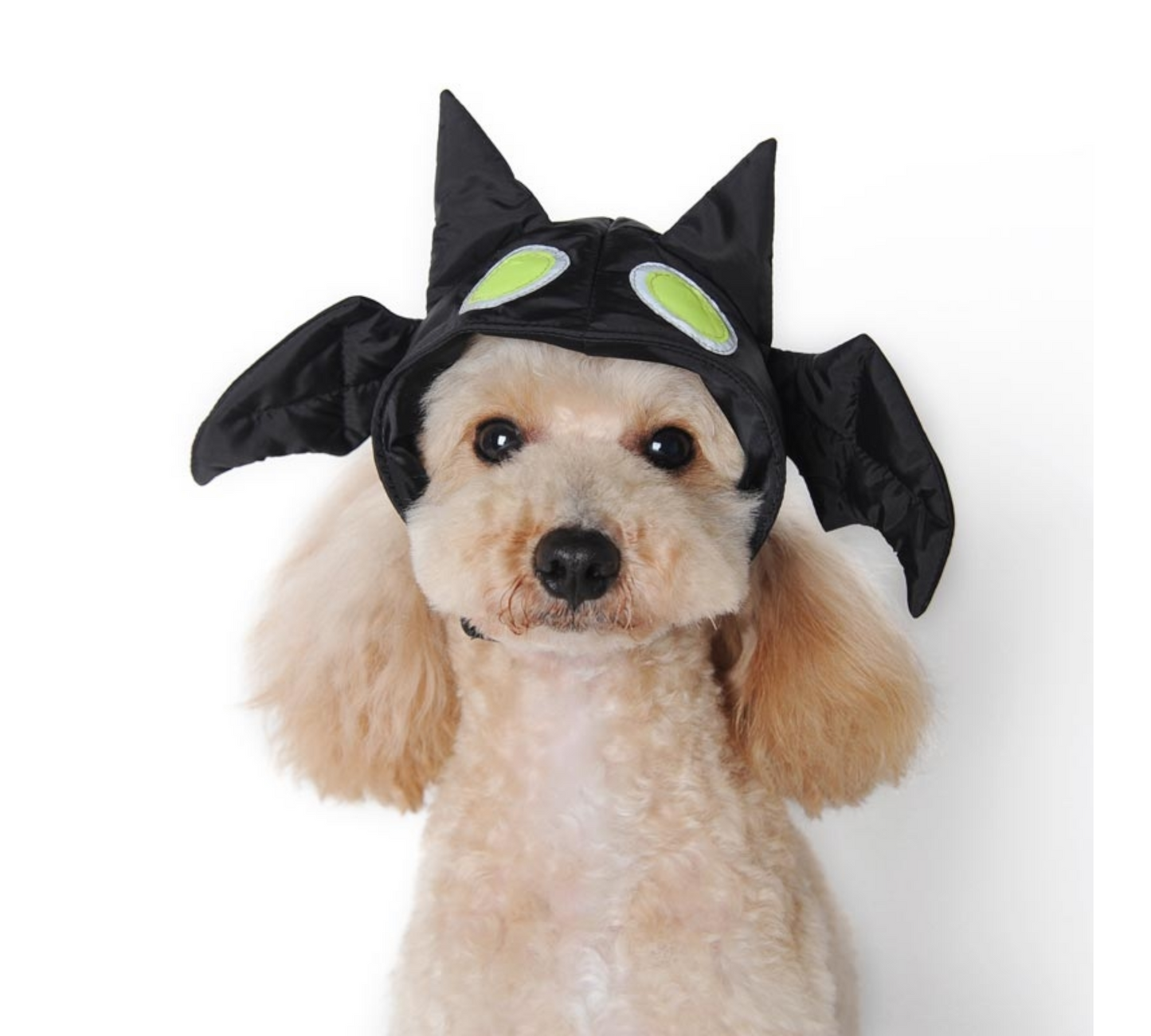 Canine's World Dog Hat Bat Hat Dogo® Pet Fashions