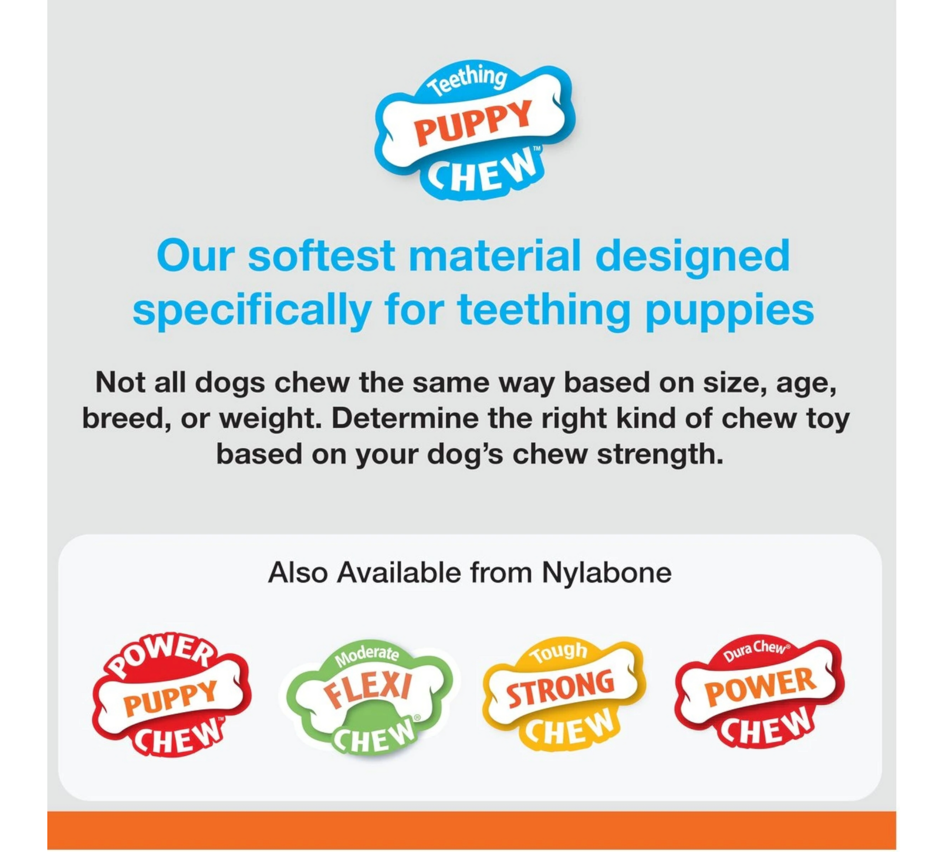 Canine's World Dog Chew Toys Nylabone Puppy Petite Dental Puppy Chew Toy Nylabone