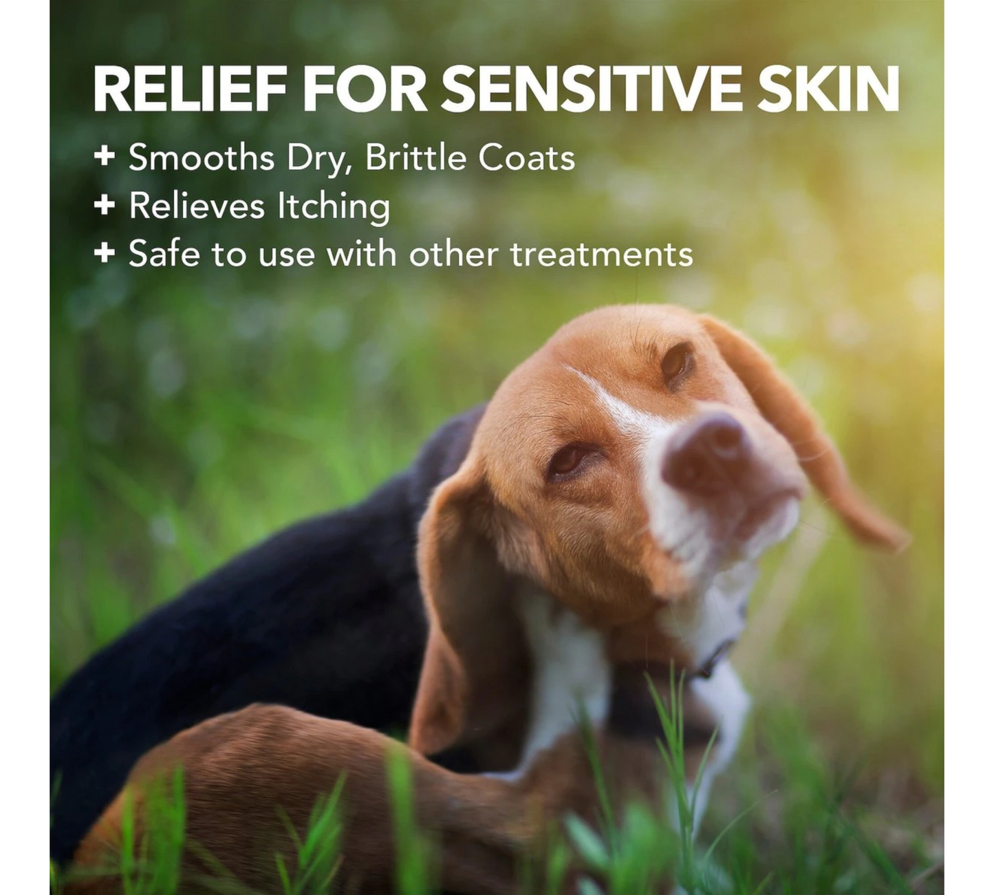 Canine's World Dog Shampoos Vet's Best Hypo-Allergenic Shampoo for Dogs,  Vet's Best