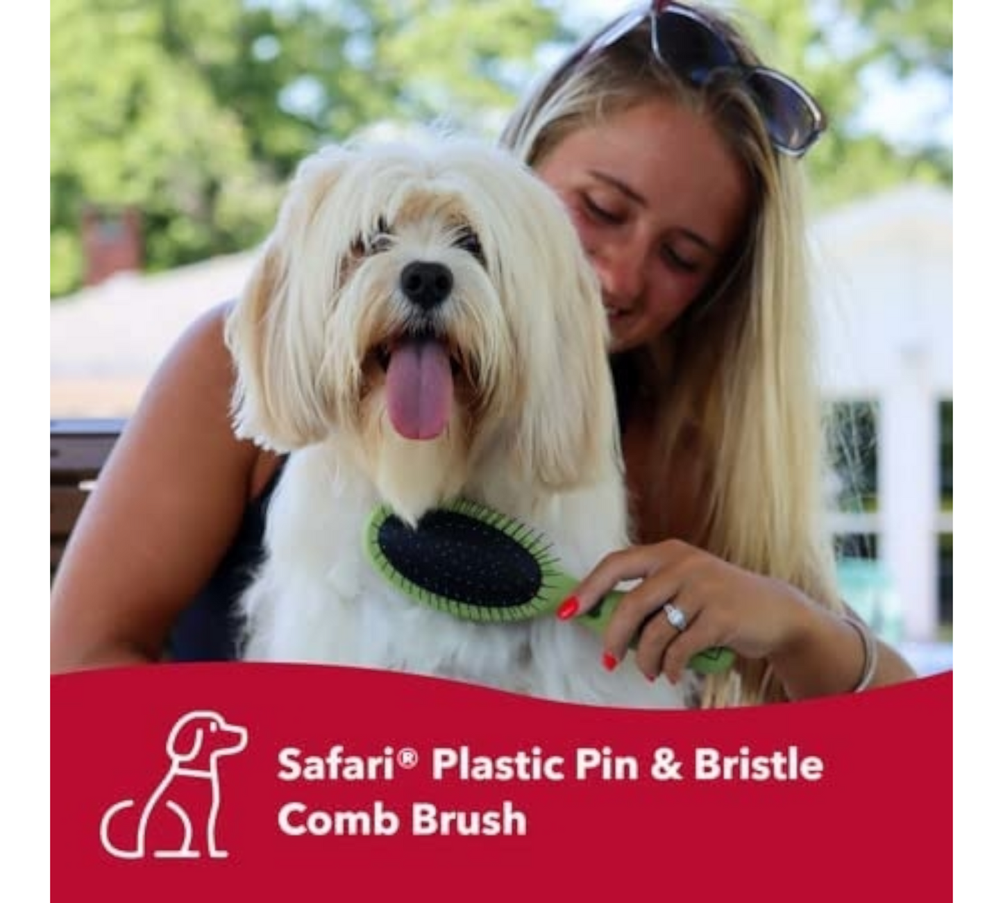 Canine's World Dog Brush Safari Combo Brush for Dogs, Color Varies Safari