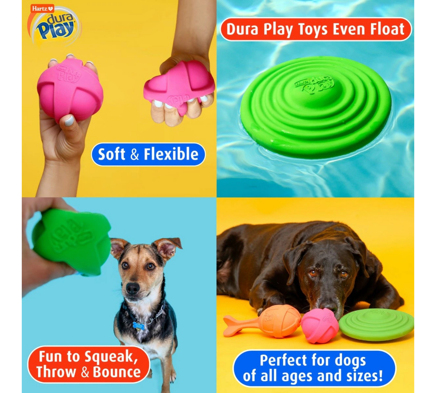 Hartz DuraPlay Disc Bacon Scented Dog Toy, Color Varies