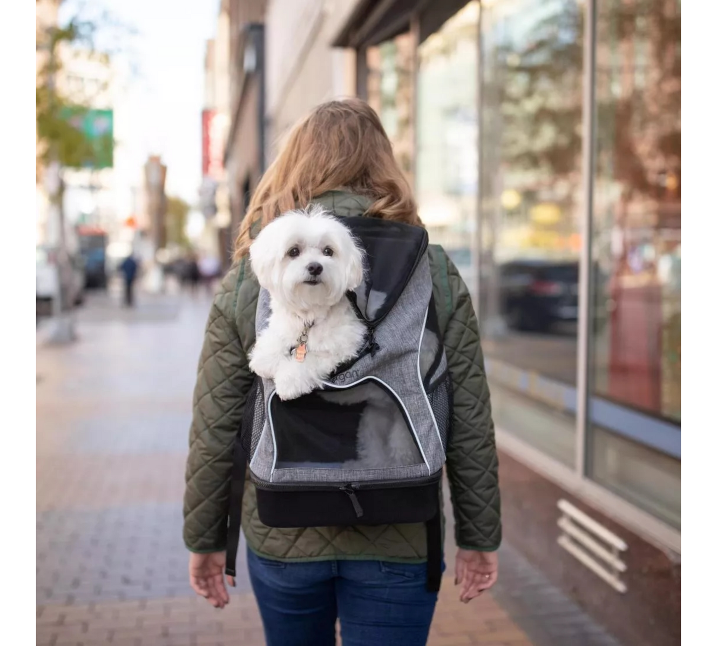 BERGAN Backpack Pet Carrier Grey