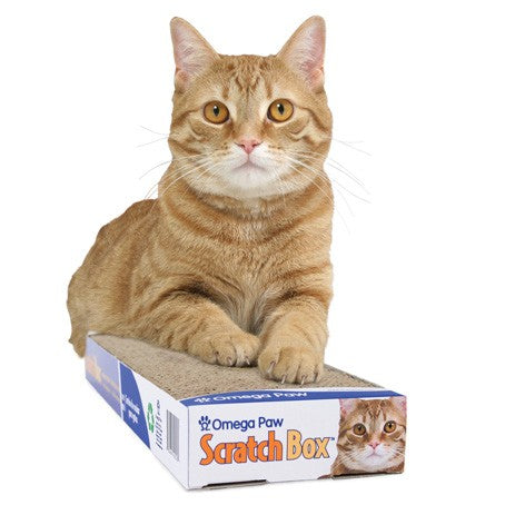 Canine's World Cat Scratcher Scratch Box Klearwater Distribution